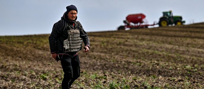 Посівна кампанія-2023: як аграрії почали сезон і чи загрожує Україні дефіцит продуктів