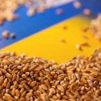 Україна залишиться гарантом продбезпеки – Урядовий Кур’єр